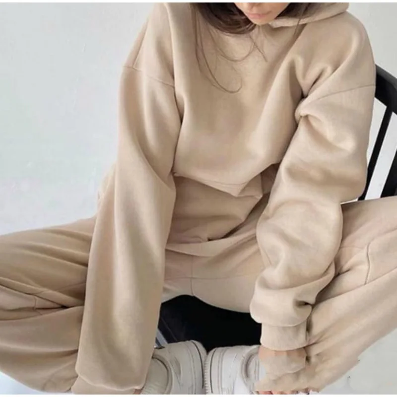 

Autumn Winter Women Tracksuits Hoodie Pants Set Warm Fleece Long Sleeve Sportwear Outfits -40