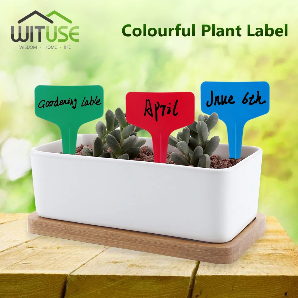 

50pcs 10x2cm/6x10cm I/T Shape Plastic Plant Tags Markers Nursery Garden Decoration Tags for Garden Plants Decor Gardening Labels