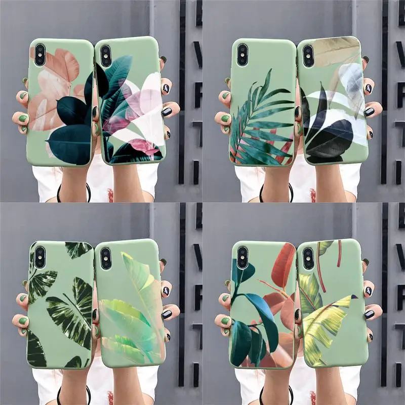 

Tropical Plants Cactus Banana Leaves Phone Case for iphone 13 12 mini 11 Pro Max X XS XR Solid Color For 7 8 6 6S Plus Capa