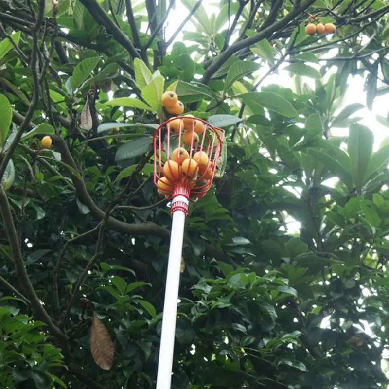 2Pcs Fruit Picking Device Durable Gardening Apple Pear Peach Tool Garden Supplies | Дом и сад