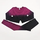 Леггинсы женские, бесшовные, с длинным рукавом, градиентные, осенне-зимние