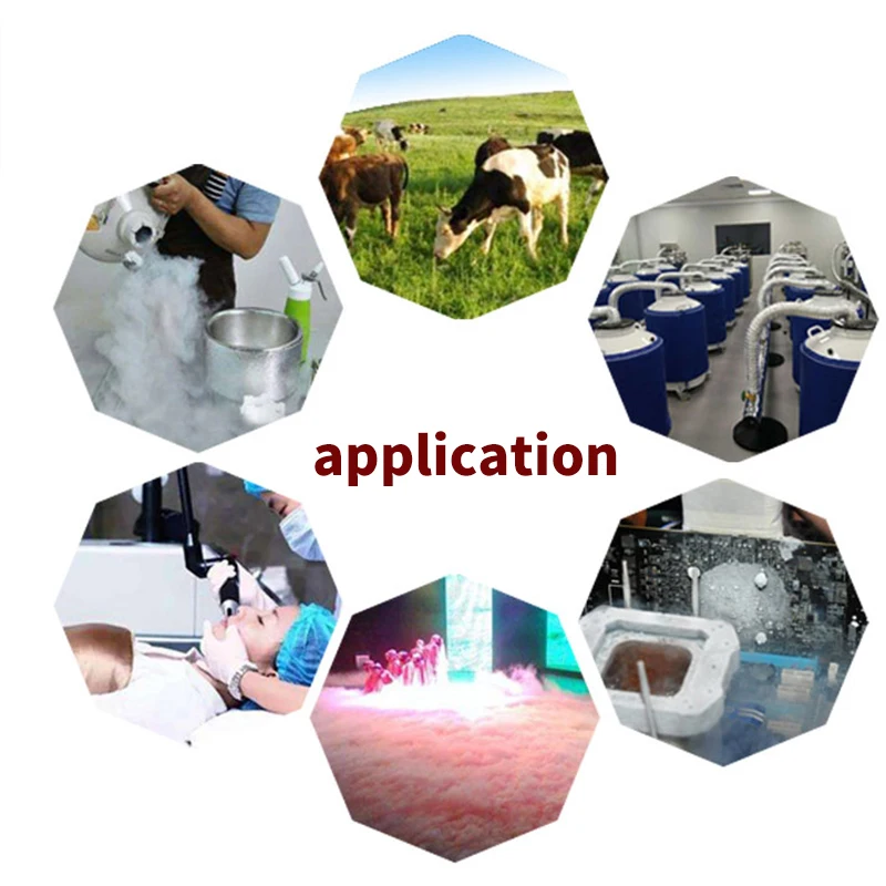 

Storage Container YDS-20 Liquid Nitrogen Tank Nitrogen Tank Semen 20L Years For Sale