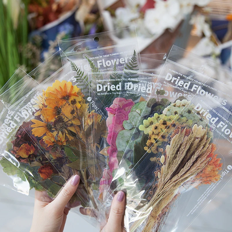 

DIY 6 Sheet Large Plant Dried Flower Notebook Diary Material Stickers Decoration Weekend Flower Shop Series Home Art Decoration