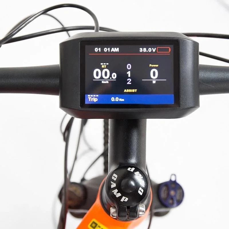 

custom 26inch electric snow Beach bicycle 48V1500w motor 21ah electric mountain ebike TFT LCD fat ebike