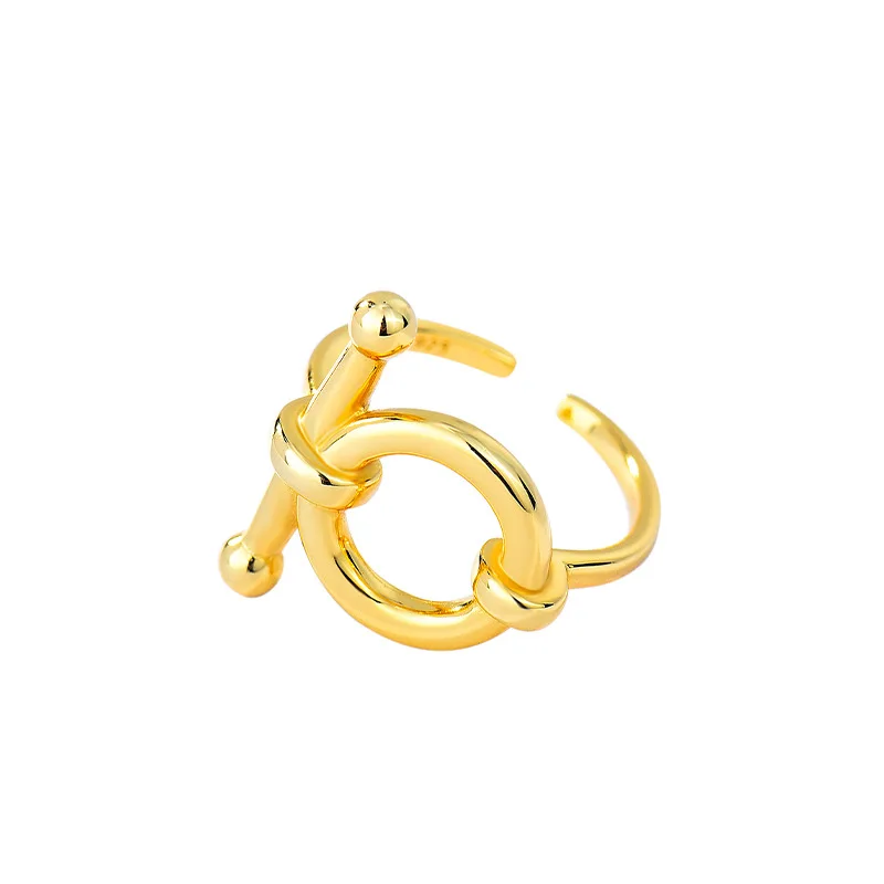 

S925 sterling silver creative niche design electroplated ring female European wind luxury high sense index finger ring wholesale