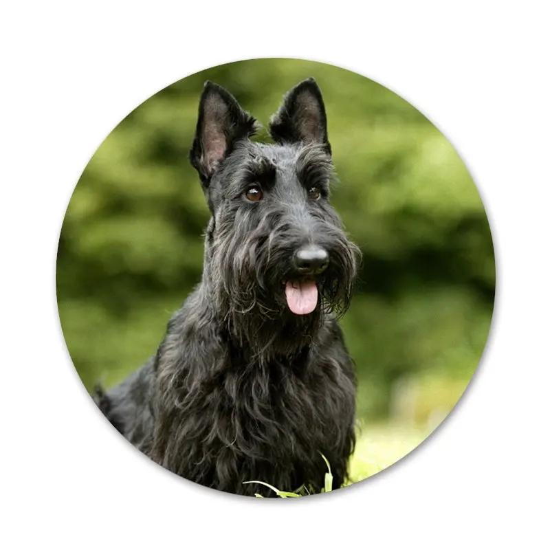 Черный шотландский терьер собака щенок узор Значки украшение Броши