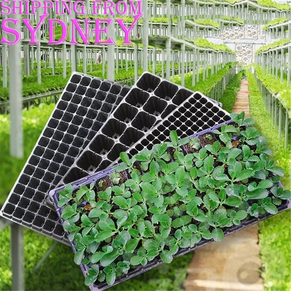 Коробка для выращивания семян растений с 5/10/20x72 отверстиями | Дом и сад