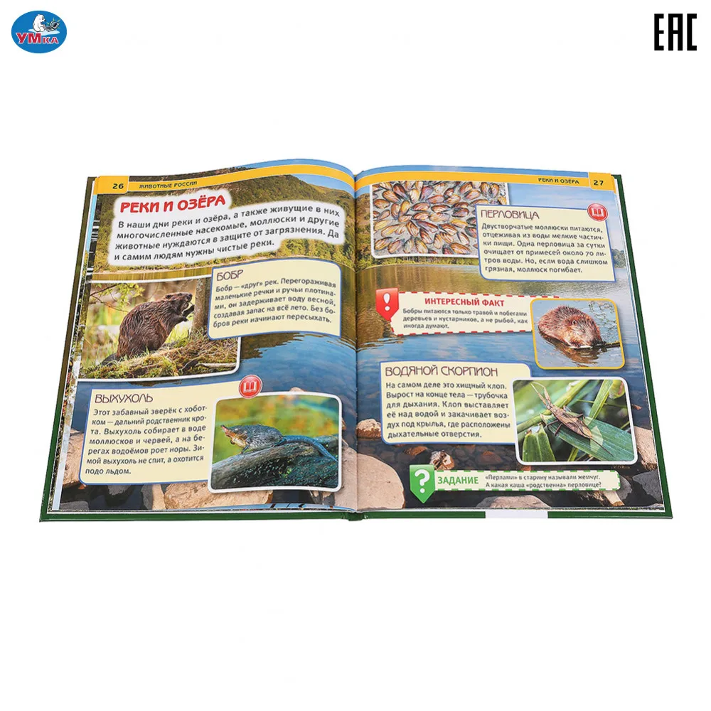 Энциклопедия Умка с развивающими заданиями &quotЖивотные России&quot твердый переплет бумага мелованная формат