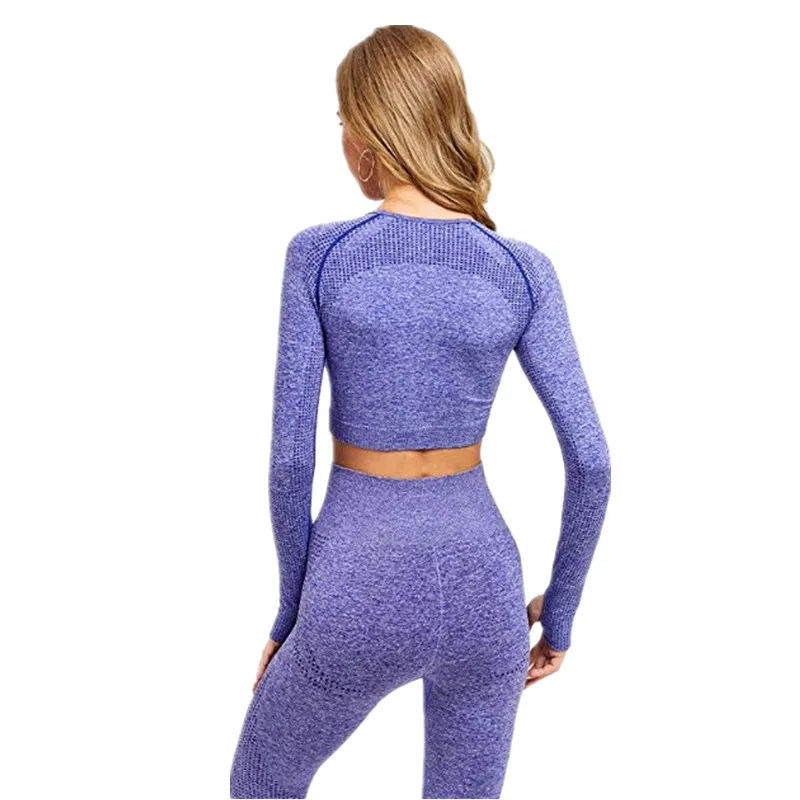 Women Seamless Yoga Set Gym Clothing Fitness Leggings+Cropped Shirts Sport Suit Women Long Sleeve Tracksuit Active Wear