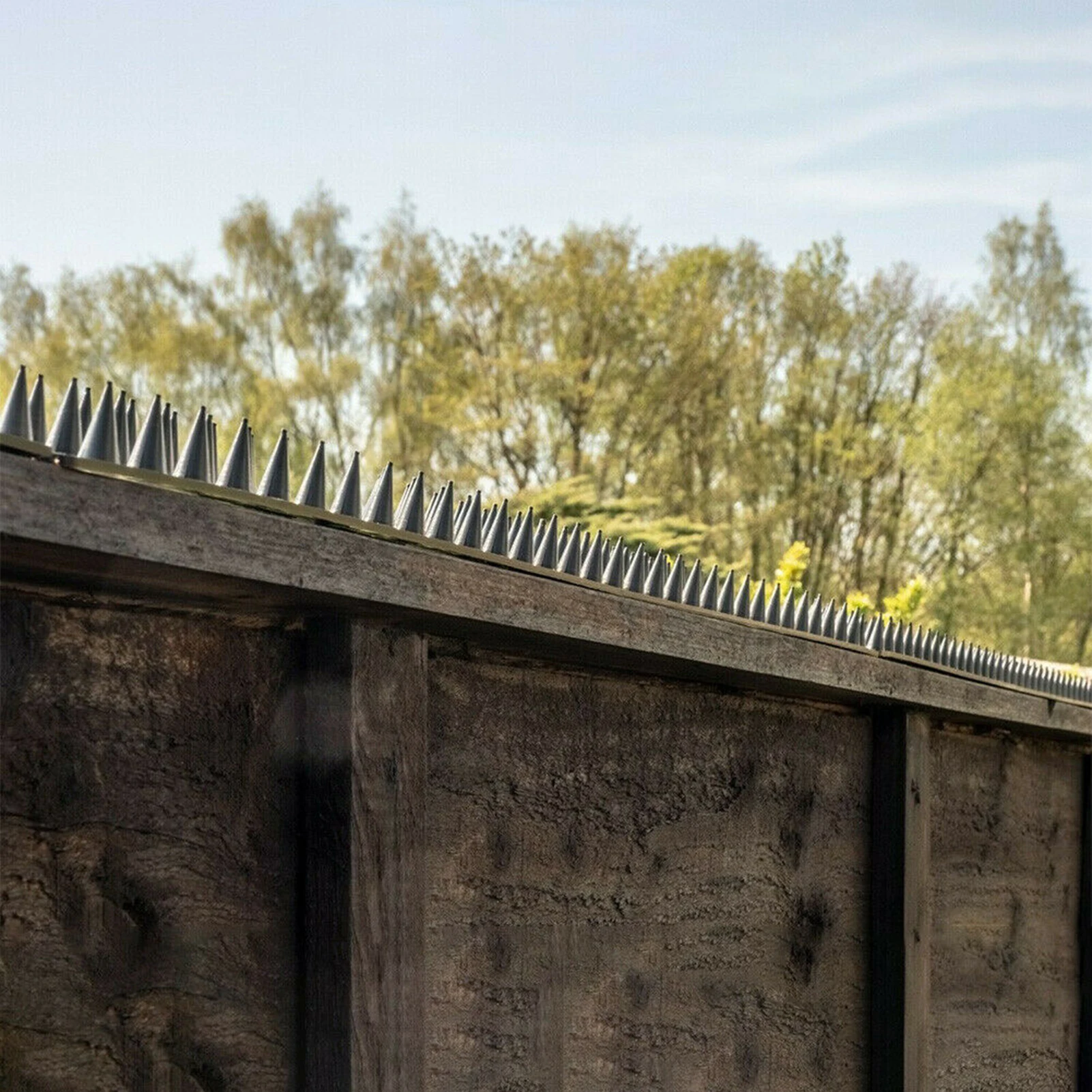 

10Pcs Fence Spike Stainless steel Anti Bird Thorn Fence Wall Spike Repellent Nail Deterrent Tool 500 mm Fence Spike Garden Tool