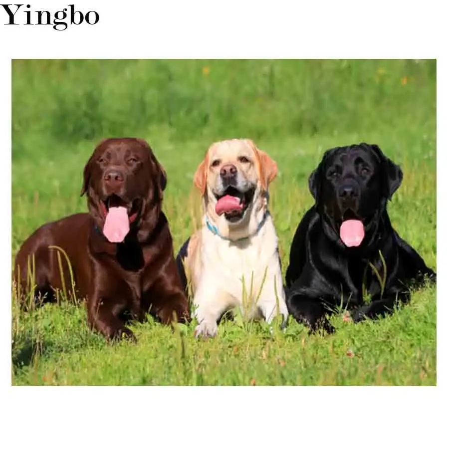 

Labrador Diy 5D Diamond Painting Full Square Drill Diamond Embroidery Pet Dog Rhinestone Mosaic Wall Decor Christmas Gift 2022