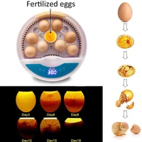 9pcs semi automatic intelligent egg incubator miniature led duck hatchery