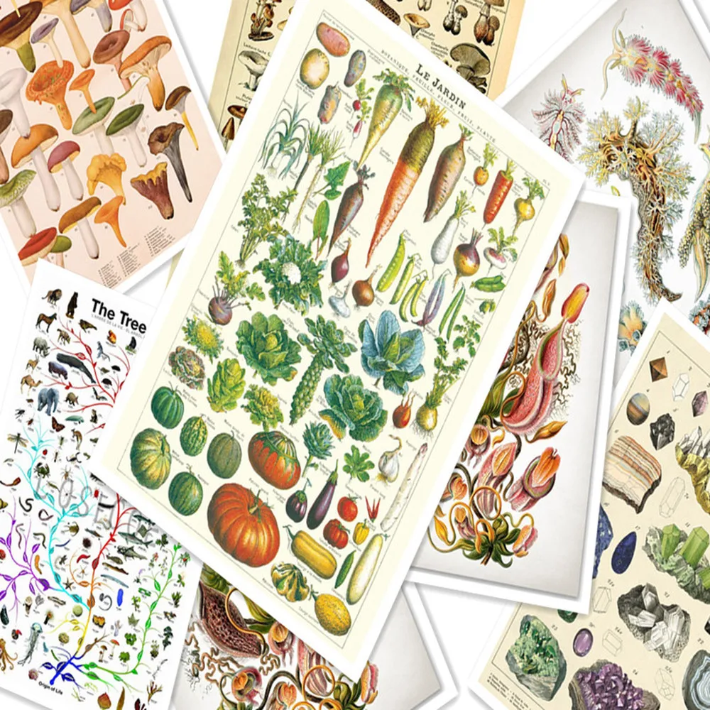 Растительное растение животное Ccience Ретро плакат крафт бумага бумажный