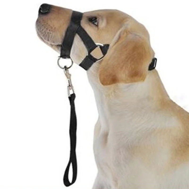 

Adjustable Leader Belt Dog Collar No Pull Bite Straps Harness Head Collar Muzzle Dog Halter Training Leash Leader Classic Collar