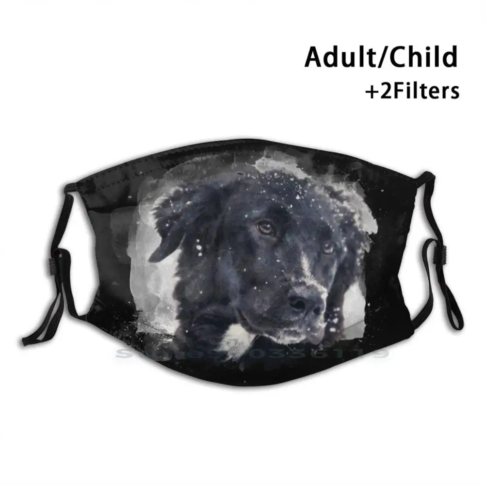 Маска для лица с фильтром Собачка колли взрослых и детей | Аксессуары одежды