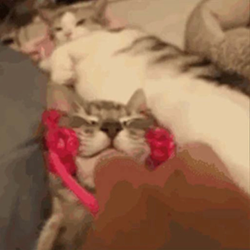 Многофункциональный кошачий тонкий массажер для лица интерактивный массажный