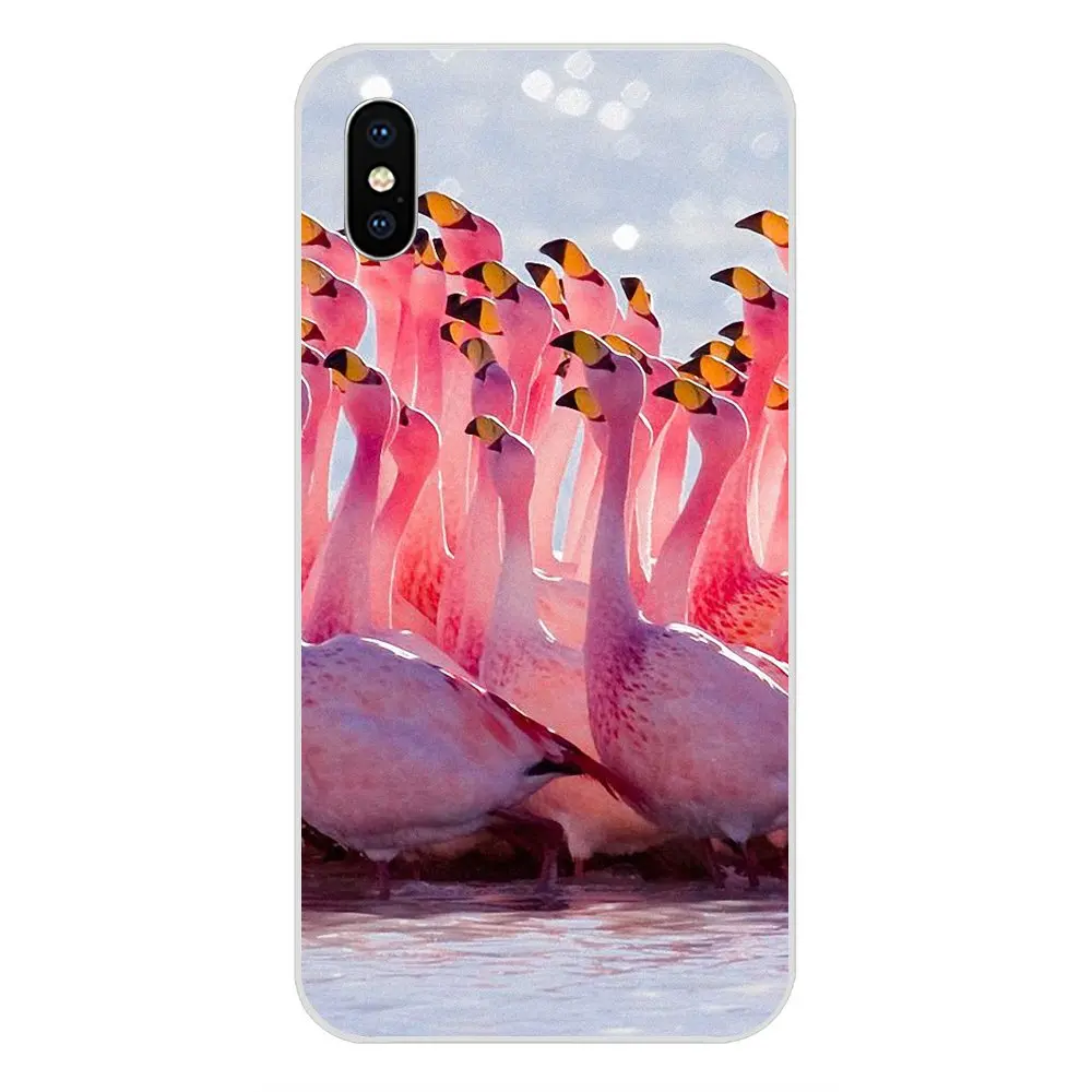 Защитный чехол для Huawei Nova 2 V20 Y3II Y5 Y5II Y6 Y6II Y7 Y9 G8 G9 GR3 GR5 GX8 Prime 2018 2019 Розовый фламинго |
