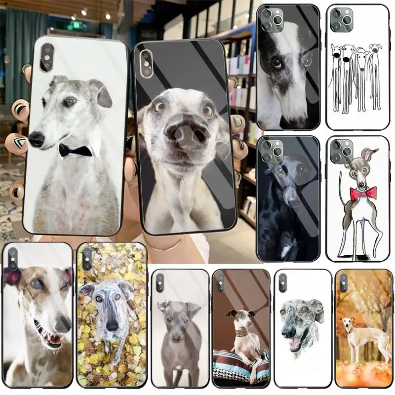 

Galgo Greyhound Dog Bling Cute Phone Case Tempered Glass For iPhone 13 12 11 Pro XR XS MAX 8 X 7 6S 6 Plus SE 2020 case