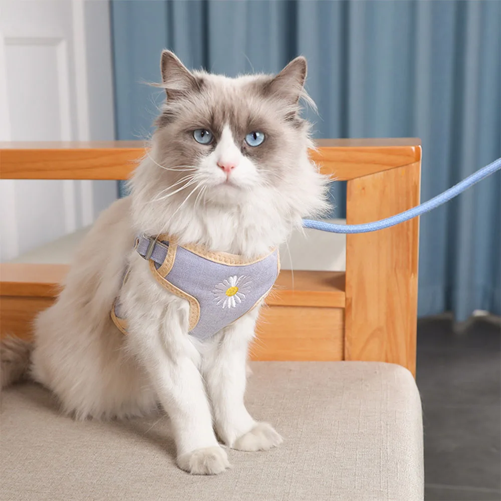 

Cat Harness Escape Proof Pet Harnesses Vest Adjustable Nylon Leash Breathable Mesh Breakaway Harness Fashion Gotas Accessories