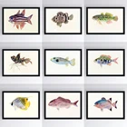 Постер с рыбками и животными в скандинавском стиле, Картина на холсте, настенное искусство, украшение для гостиной и дома