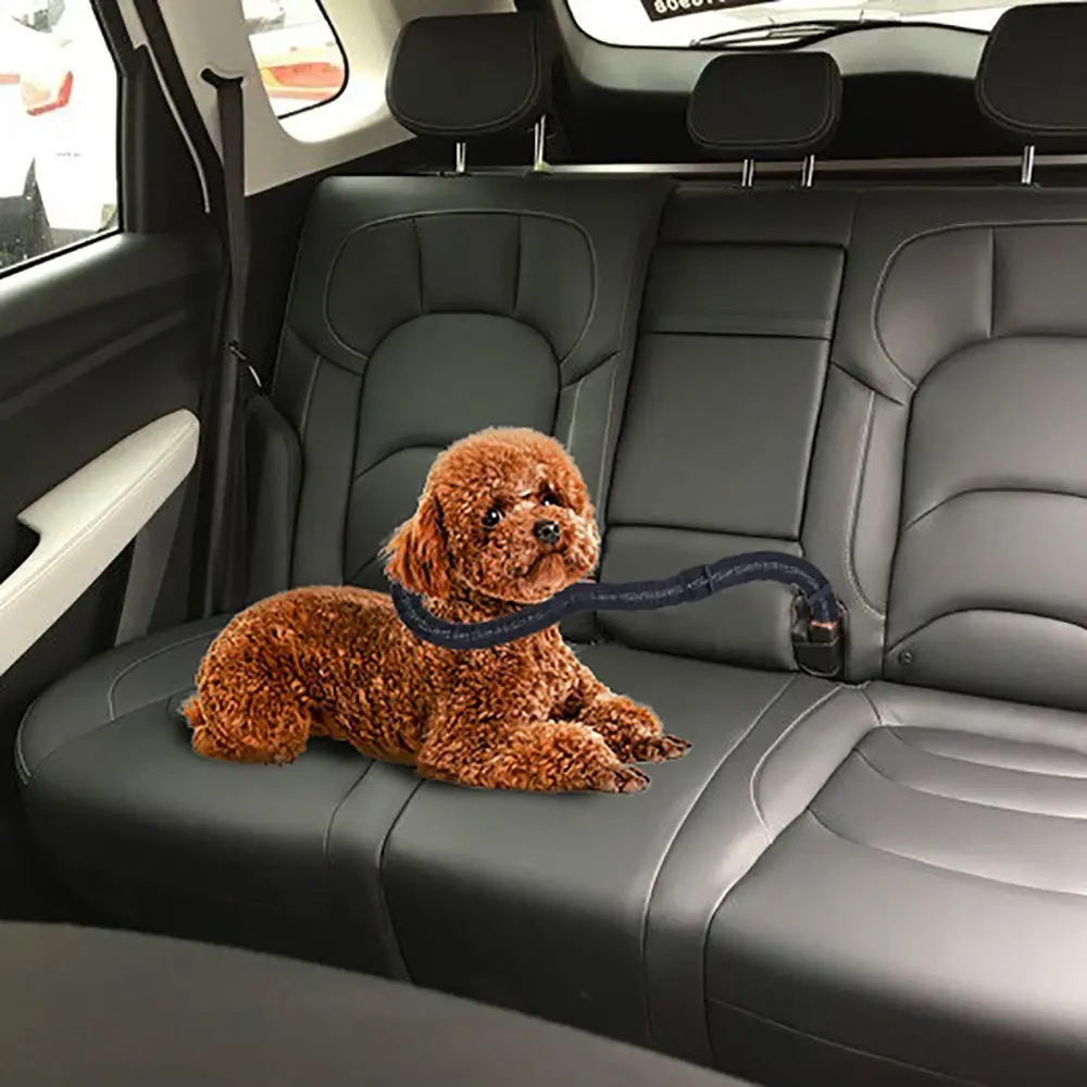 Собака автомобильный ремень безопасности и безопасные привязные ремни поводок