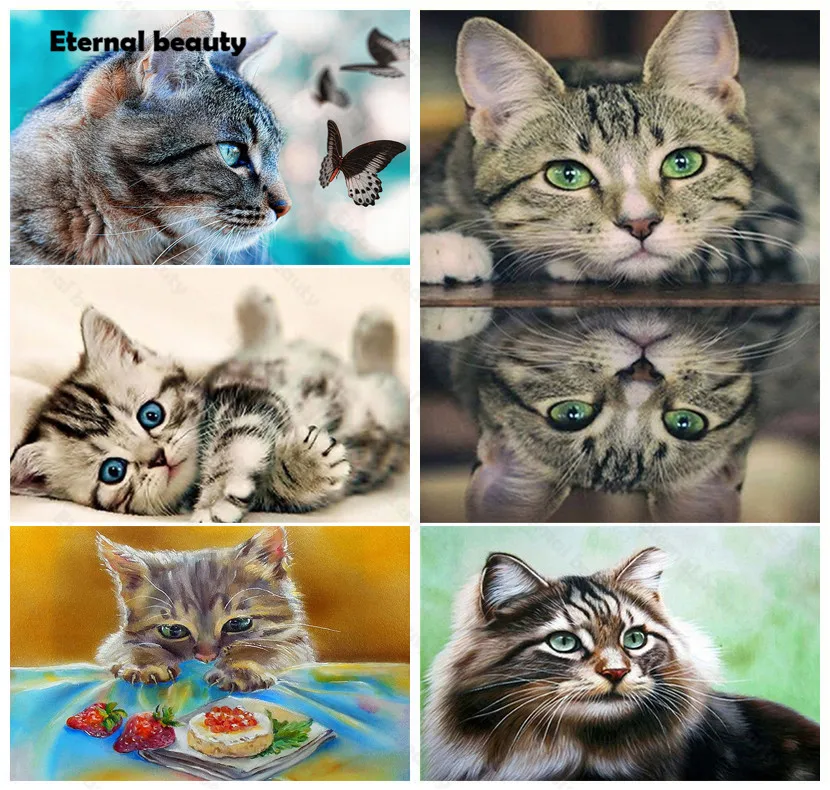 

Diamond Painting Cat Cross Stitch Kits Lovely Kitty Diamond Rhinestone Embroidery Mosaic Painting Full Square Picture Home Decor