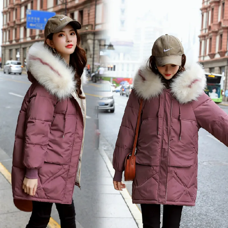 Cheap wholesale 2019 new autumn winter selling women's fashion casual warm jacket female bisic coats MP1502 | Женская одежда