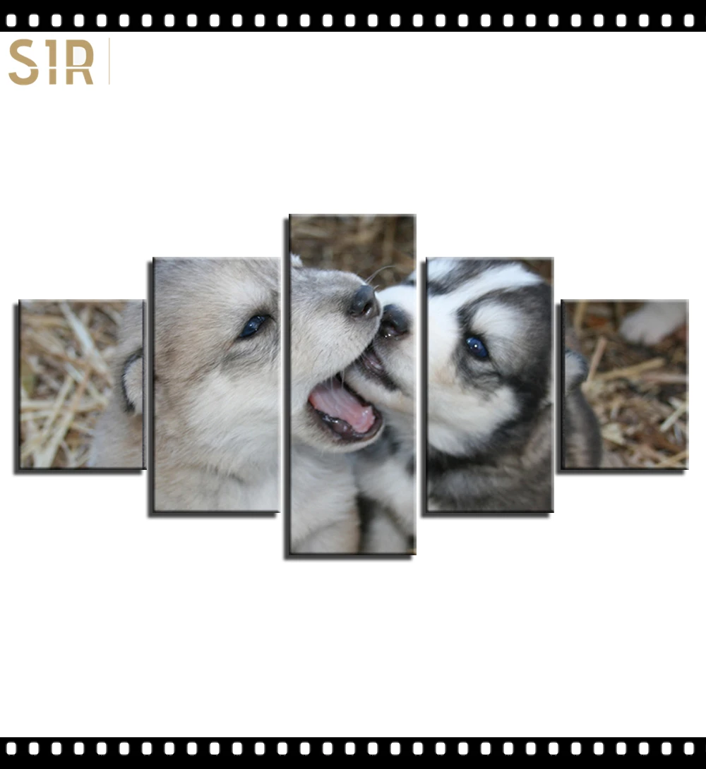 

HD 5 Pieces Cute Pet Dog Pictures Posters Wall HD Art Home Decor for Living Room Painting on The Wall Pet Dog Pictures Wall Art