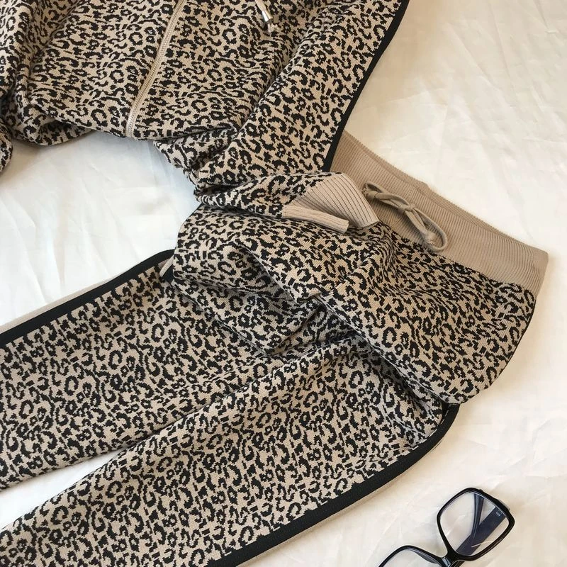

Autumn winter New 2020 casual Women 2 Piece Set Knit Leopard Hooded Zipper Knitted pullover + Elastic Waist Pants Suit TZ530