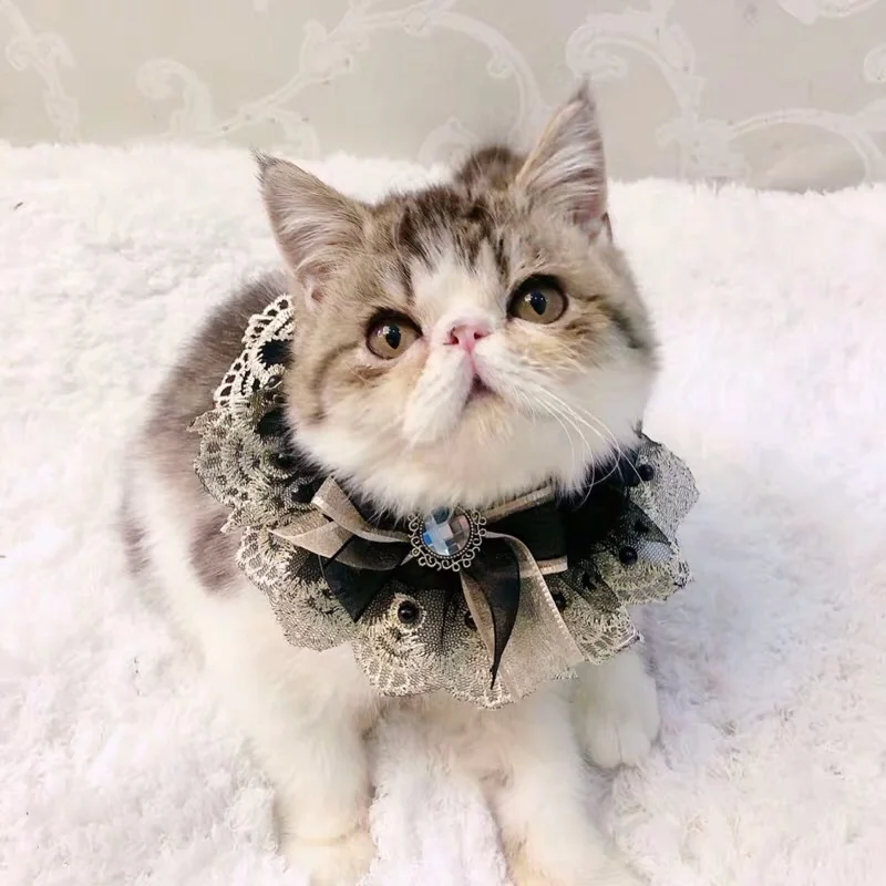 

Pet Accessories Lace Dog Necklace Dogs Festival Bow Tie Cat Handmade custom champagne bow Black Gauze Pet Bib