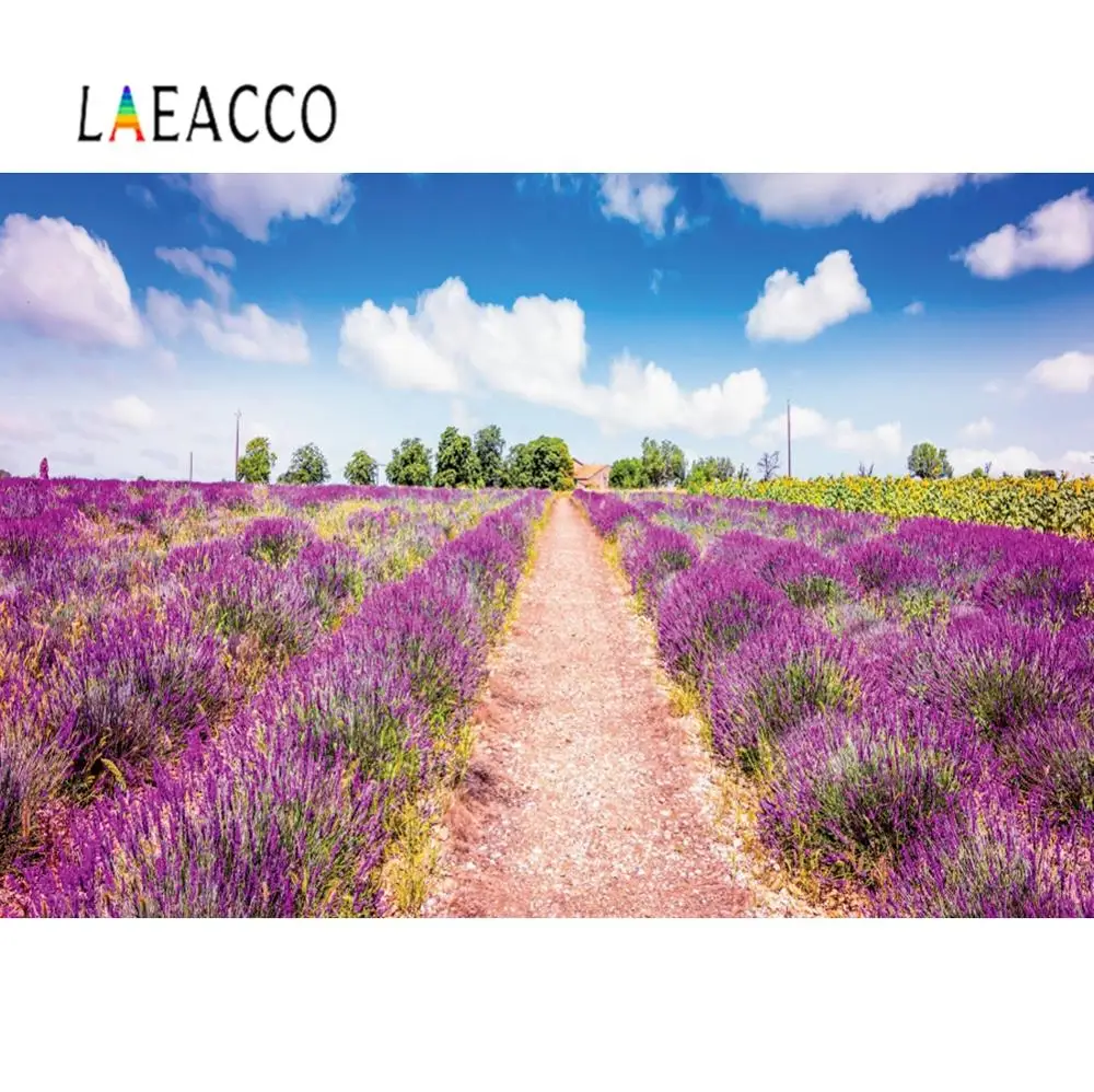 Laeacco Spring Blossoming Lavender Fields In Provence France Scene Photo Background Photographic Backdrop Photocall Photo Studio