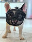 Намордники для домашних животных Pet Маска для домашних животных Портативный короткие мордочки для анти-остановить лай панель в форме французского бульдога с воздухопроницаемой сеткой, с изображением собаки морды