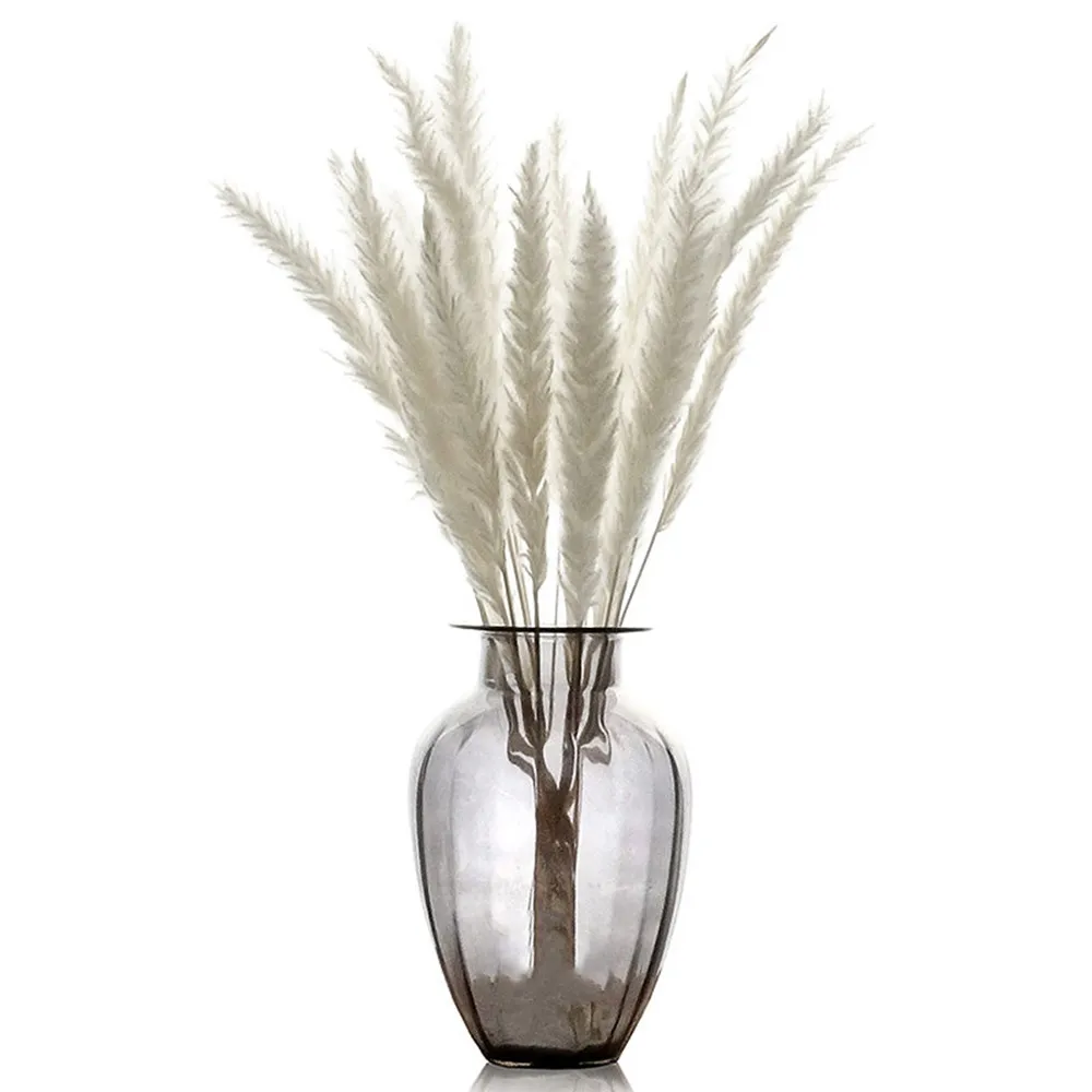 

Natural Dried Flowers Lagurus Ovatus Rabbit Tail Grass Bunch Real Flower Bouquet Pampas Grass for Home Wedding Decoration