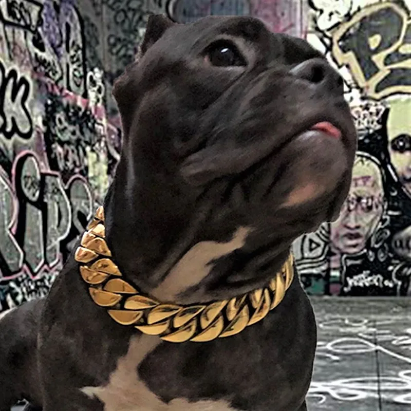 32mm Wide Golden Dog Collar Hip Hop Cuban Link Chain For Large Dog 316L Stainless Steel Pitbull Bulldog Waterproof Pet Choker