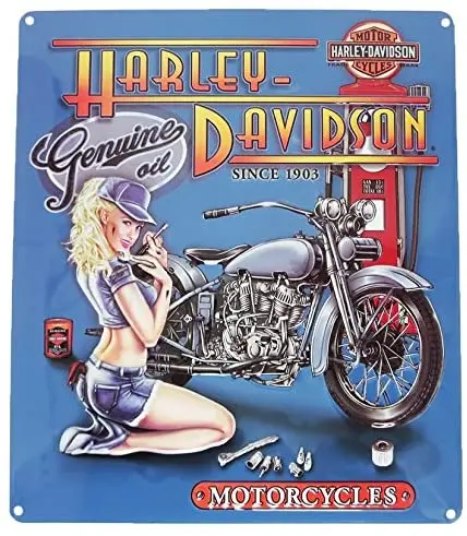 

Ande Rooney Mechanic Babe Tin Sign