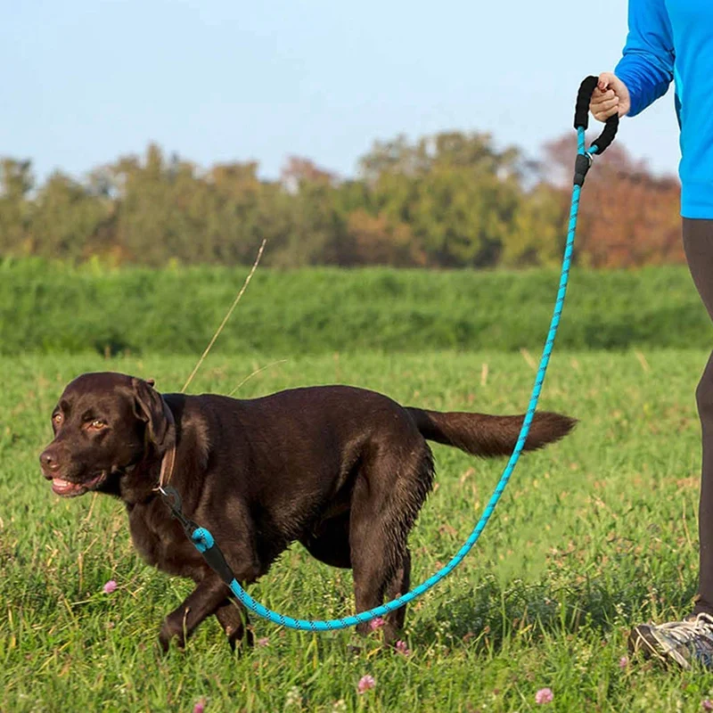 

2 Pack 5 FT Heavy Duty Dog Leash with Comfortable Padded Handle Reflective Dog Leashes for Medium Large Dogs