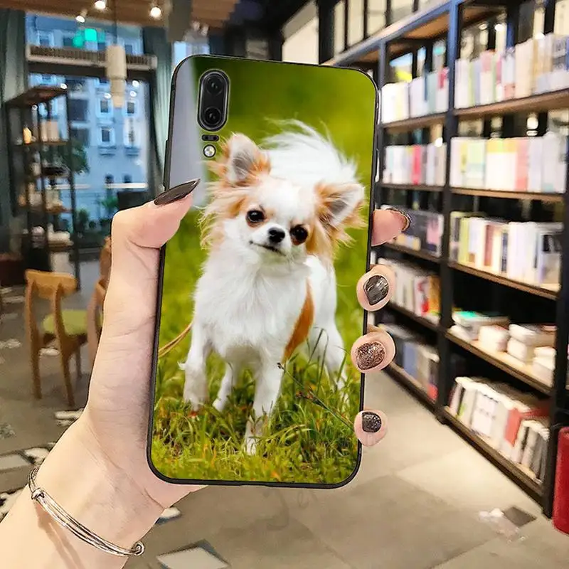 

Chihuahua dog cute animal high quality Phone Case shell For Huawei honor Mate P 10 20 30 40 Pro 10i 9 10 20 8 x Lite