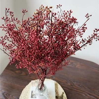 120glot40 50cm natural dried preserved fresh millet flowers bouquetreal eternal mini fruits branch for home decorwedding