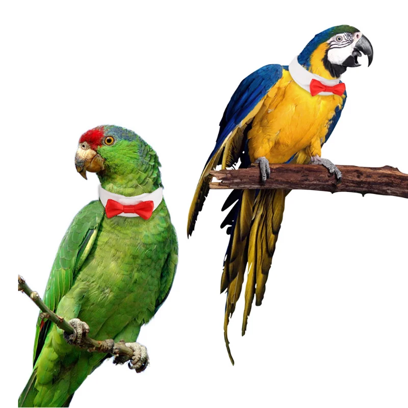 Галстук бабочка ручной работы для костюма маленькой птицы кошки|Игрушки птиц| |