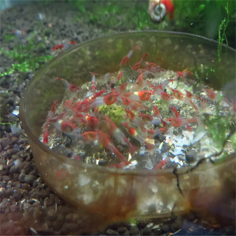 Хит продаж большие размеры 35 g с украшением в виде кристаллов красная креветка