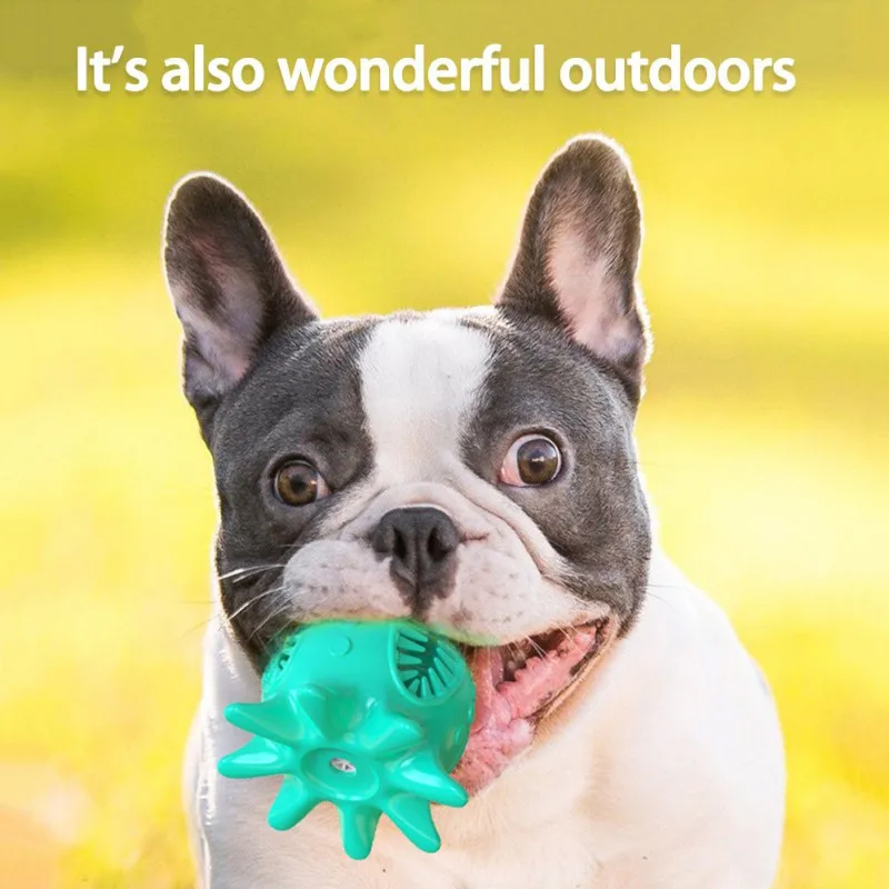 Собака зубы шлифовальный стержень приводит к эрозии чистыми Кости зубной щетки