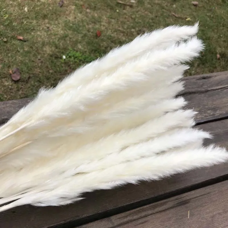 

30PCS/Length 42-50CM Real Dried Natural Grass Reed Flower,Dry Small Bulrush Bouquet,Pampas Reeds,Home Decoration,Wedding Decor
