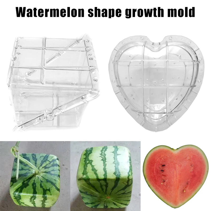 

Watermelon Shaping Grow Mold Growth Forming Mold Fruit Shaping Mould Vegetable Growing Mould MJJ88