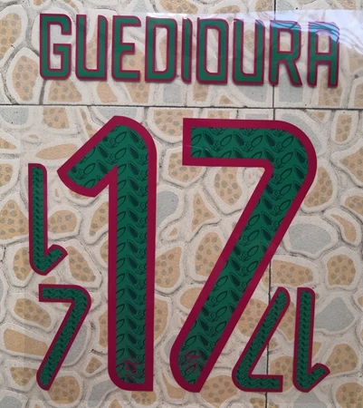 Медь Algeria home OUNAS GUEDIOURA BENNACER BELAILI BOUNEDJAH MAHREZ ATAL FEGHOULI именной патч, значок - Цвет: Медь