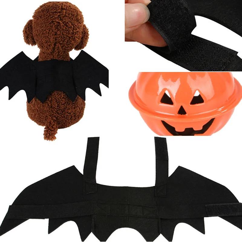 Хэллоуин для домашней собаки костюм милый кот платье одежда крылья летучей мыши