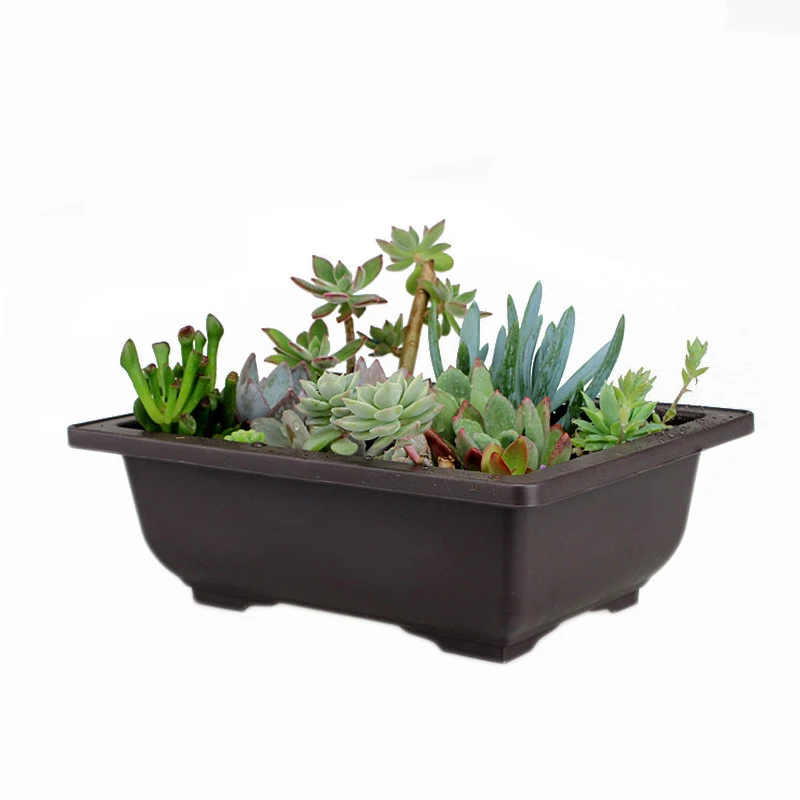 1 комплект цветочный горшок + поднос квадратный для бонсай имитация фиолетового