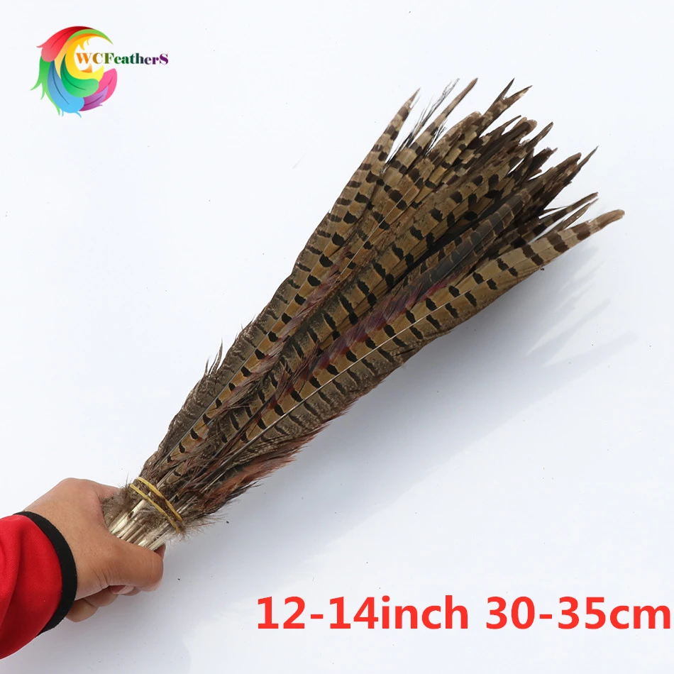 10 шт натуральные Ringneck Перья из хвоста фазана 10-26 дюймов/25-65 см перо для вечерние карнавальные украшение для головного убора шлейф