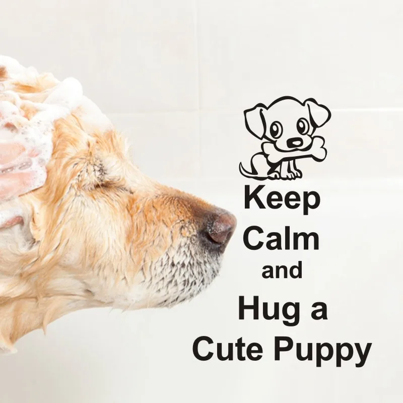 Виниловые Стикеры для ухода за животными домашними животными|Наклейки на стену| |