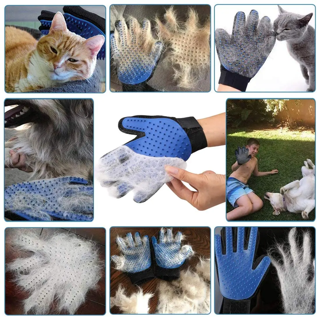 

Pet Products