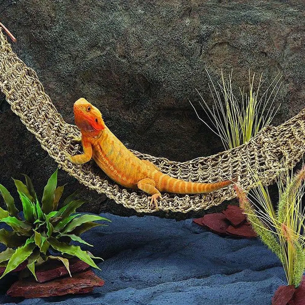 Гамак для домашних животных Lizard Lounger гамак рептилий товары Anoles Geckos Iguanas | Дом и сад